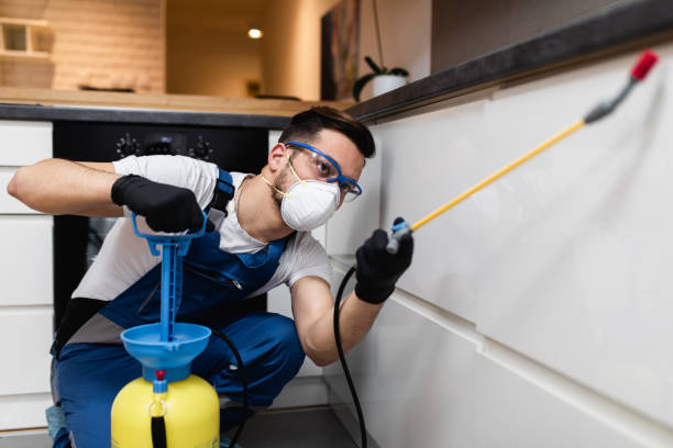 Best Pest Control Treatment  in Port Edwards, WI