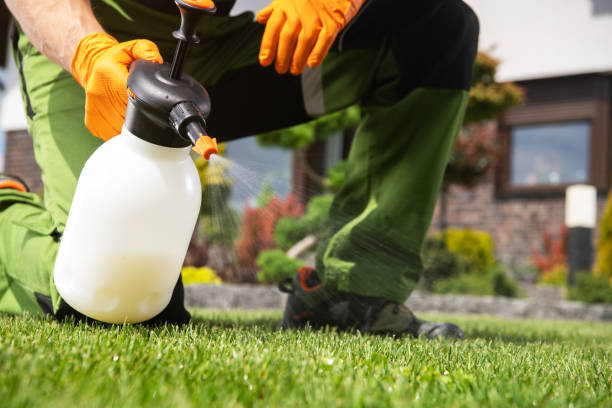 Professional Pest Control in Port Edwards, WI