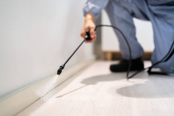 Best Flea Control Services  in Port Edwards, WI