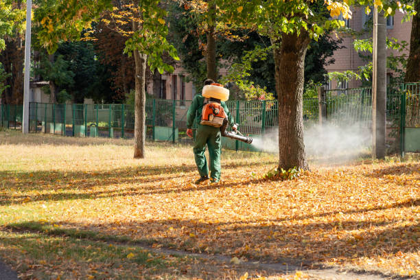 Best Local Pest Control Services  in Port Edwards, WI