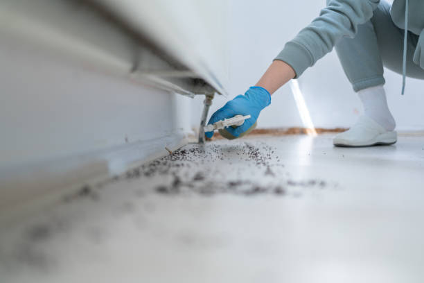 Best Emergency Pest Control  in Port Edwards, WI